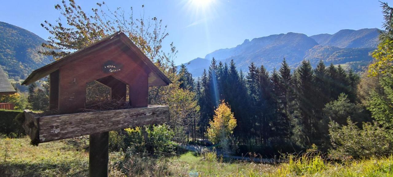 Chalet L'Alpe Saint-Pierre-d'Entremont  エクステリア 写真