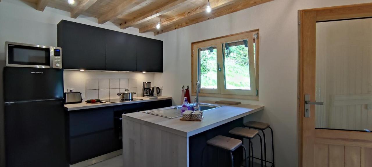 Chalet L'Alpe Saint-Pierre-d'Entremont  エクステリア 写真