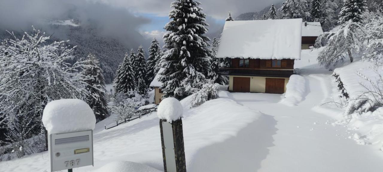 Chalet L'Alpe Saint-Pierre-d'Entremont  エクステリア 写真